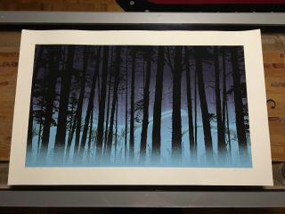 Dan Mccarthy Rare Signed Ghost Pines Print - 73 Of 420 - Glow In The Dark