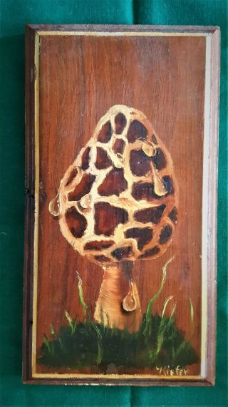 Hand Painted Morel Mushroom On Wood Plaque (signed) One Of A Kind Art