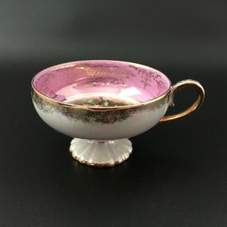 Royal Halsey Lusterware Iridescent Footed Tea Cup W/ Fruit Scene Gold Trim