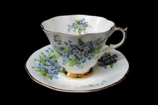 Vintage Queen Anne Forget Me Nots Bone China Teacup & Saucer 211