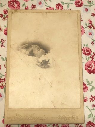 Vtg Antique 1800s Post Mortem Baby Photo Mary Holt Staunton Virginia Cdv Infant