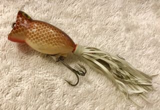 Fishing Lure Fred Arbogast Brown Scale 1/4oz Hula Popper Tackle Box Crank Bait 3