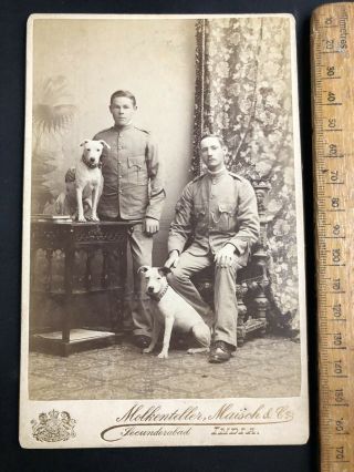 Q Antique Victorian War Military Soldier Terrier Dog Pair B&w Photo Cabinet Card