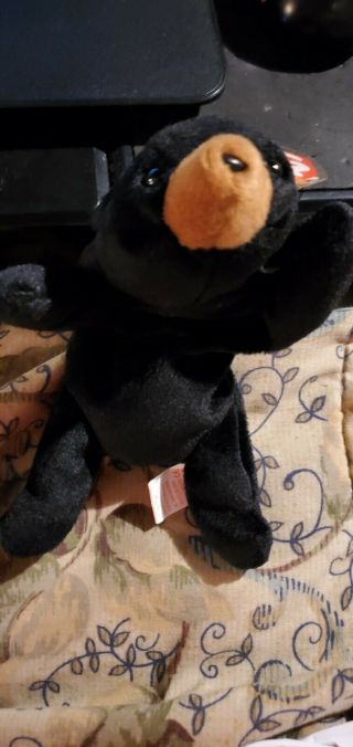 Rare Ty Beanie Baby Blackie With Multiple Errors Style 4011