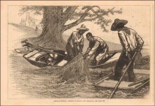 Terrapin,  Turtle Fishing,  Savannah To Baltimore,  Antique Engraving 1880