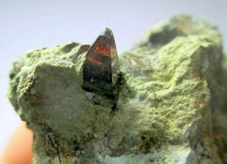 227 Ct World Rare Anatase Orange - Red Crystal On Matrix From Baluchistan Pakistan