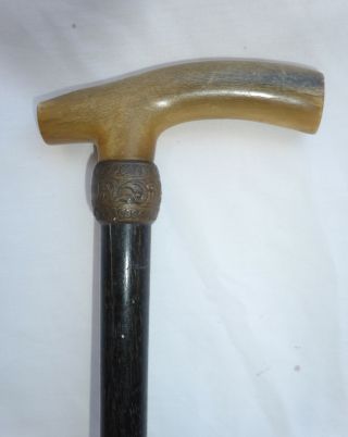 Antique Victorian Bovine Horn Ebony Wood Walking Stick
