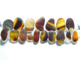 16 Multi S - L Amber Orange Nut 1.  76oz Jq Rare Seaham English Sea Glass