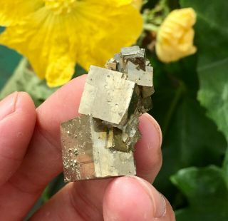 22g Rare Natural Shiny Golden Cube Pyrite Crystal Cluster Mineral Specimen