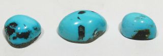 Rare Set Of 3 Matching Old Natural Villa Grove Turquoise Cabochons Cabs 14.  5cts