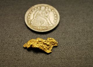 Large 1.  48 G Rare Gold Nugget Historic Elk Creek Montana.  Natural Hand Dug 1/2,  "