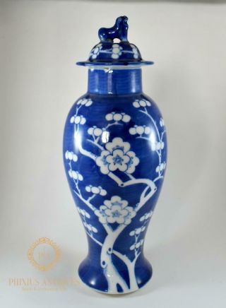 Large Antique Chinese Prunus Pattern Porcelain Baluster Vase & Cover