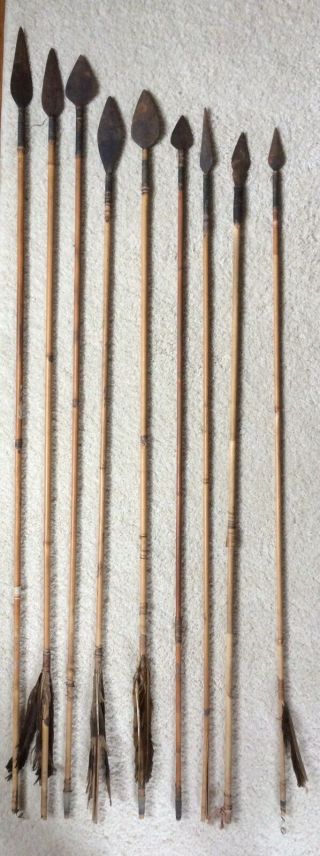 Nine (9) Antique Collectible Arrows With Bamboo Shafts And Steel Arrowheads