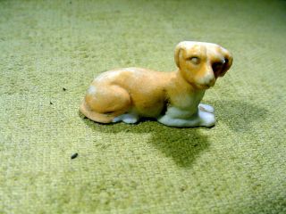 Excavated Vintage Painted Bisque Dog Animal Doll Age Feve 1890 Hertwig A 10465