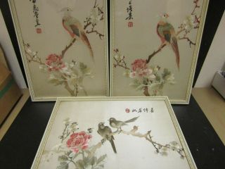 3 Chinese Export Silk Embroidered Birds In Trees Framed Pictures 33x24cm Signed