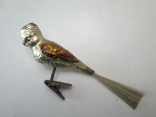 Antique Vtg Mercury Glass Parrot Parakeet Clip On Bird Christmas Ornament 4573