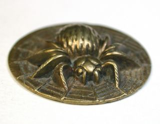 Antique Stamped Brass Button Detailed Spider In Web Design - 1 & 1/8 "