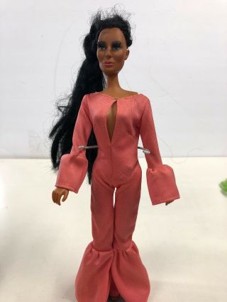 Vintage Mego Hollow Body Cher W Strawberry Dress 1970s X