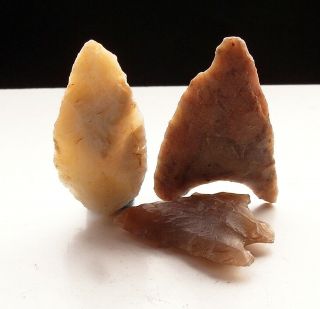3 Ancient Neolithic Flint Arrowheads Found In Languedoc