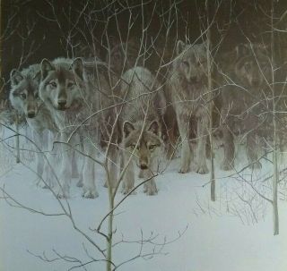 Vintage Art Robert Bateman Clear Night Wolves Pack Detail 1981 Snow Moonlight
