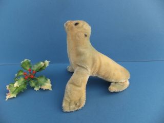 Vintage German Steiff Robby Seal With Silver Ear Button Mohair Toy Sealion