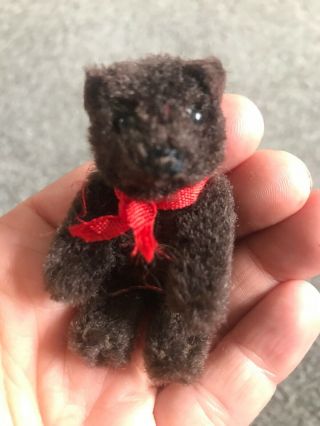 Rare Antique Vintage Schuco Miniature Fur Tiny Bear 2.  5 " Dk Brown Nr So Cute