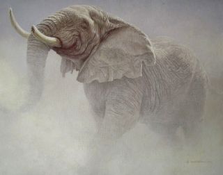 Vintage Art 2 For 1 Robert Bateman Stream 1968 Bank Bluffing Bull 1979 Elephant