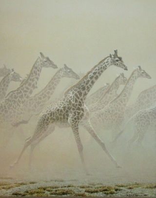 Vintage Art Robert Bateman Galloping Herd Giraffes 1981 Zebra 1966 Africa Safari