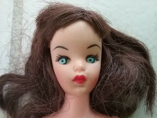 Vintage Barbie Fashion Doll Clone,  Brunette,  V Mark On Neck,  11 1/2 "