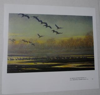 Robert Bateman Art Print Platte River Sandhill Cranes 2009 Birds Migrating Sun 2