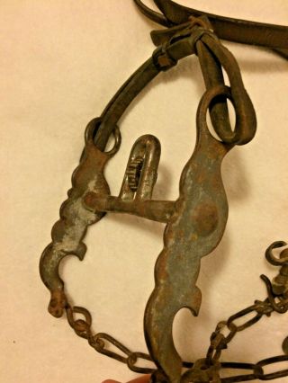 Antique Decorative Horse Spade Bit With Roller,  Curb,  And Chain Reins
