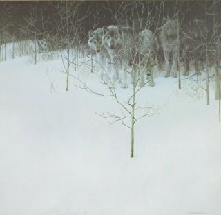Vintage Art Robert Bateman Clear Night Wolves Gyrfalcon Dark Phase Mountain Snow