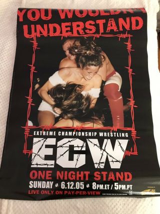 Ecw One Night Stand 2005 Ppv Poster 28x40 Rare Vintage Wwf Wwe Wcw