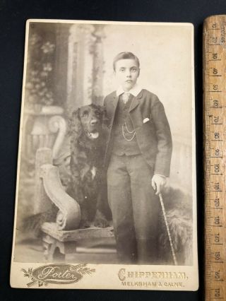 R Antique Victorian Porter Portrait Boy & Retriever Dog B&w Photo Cabinet Card