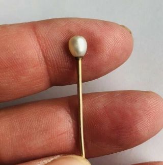 Antique Victorian 15ct Gold And Natural Pearl Stickpin