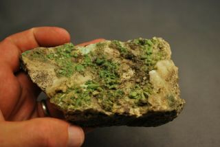 Rare Duftite On Quartz Mineral Specimen Black Pine Mine Granite Co.  Montana 5 "
