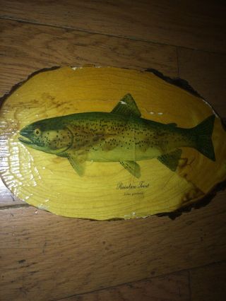 Vintage Heddon Dowagiac Wood Rainbow Trout Fish Plaque Rare