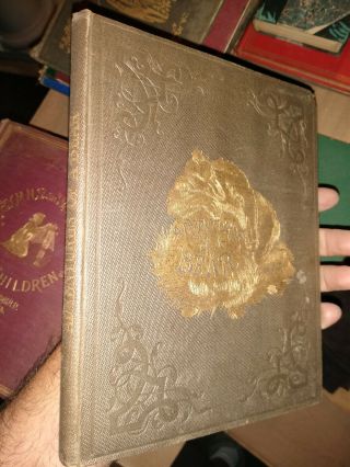 Antique 1853 " The Adventures Of A Bear " By Alfred Elwes Pub Addey And Co Ill.  Hc