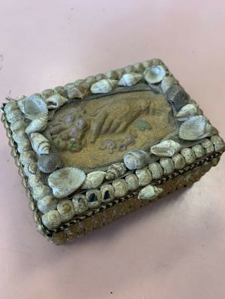 Rare Antique Victorian Shell Art Seashell Encrusted Wooden Jewelry Box