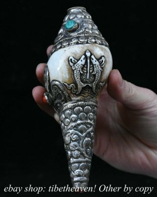 5.  6 " Old Tibet Silver Conch Buddhism 8 Auspicious Symbol Sea Snail Trumpet Shell