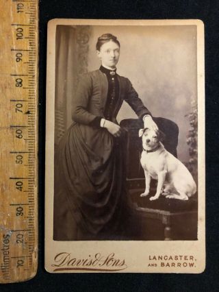 G Antique 1800s Davis Lancaster Terrier Dog Victorian B&w Photo Cabinet Card