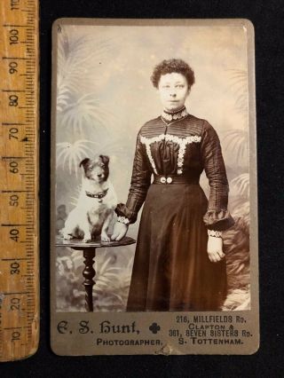 G Antique 1800s E S Hunt Tottenham Terrier Dog Victorian B&w Photo Cabinet Card