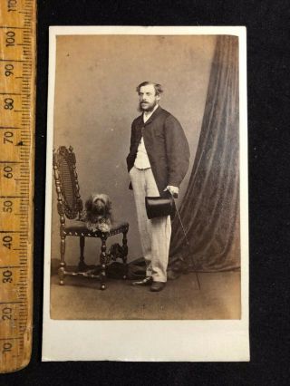 G Antique 1800s Webster Warrington Terrier Dog Victorian B&w Photo Cabinet Card