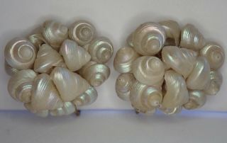 Antique Art Deco Tasmanian Iridescent Maireener Sea Shell Clip Earrings