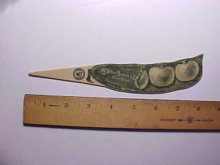 Antique Burpees Seeds Celluloid Letter Opener Shaped Like A Lima Bean Pod Vg,