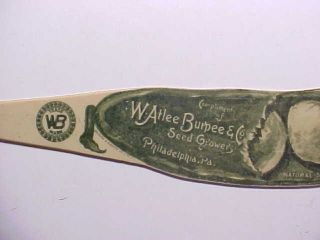 ANTIQUE BURPEES SEEDS CELLULOID LETTER OPENER SHAPED LIKE A LIMA BEAN POD VG, 2