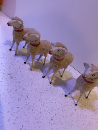 4 Antique German Putz Sheep with wood legs,  compo heads 2