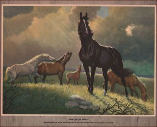 Horse Herd On The Range,  Wild,  By George Ford Morris,  Vintage Print 1952