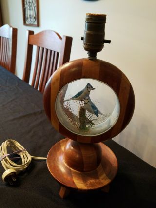 Rare Arthur Peltier,  Ri Carver,  Blue Jay Diorama Hand Carved & Painted Lamp