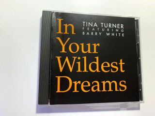 Tina Turner In Your Wildest Dreams Us Promo Cd Single Barry White Remixes Rare